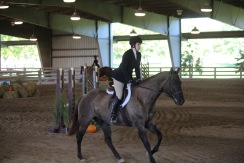 Uphill canter in the under saddle